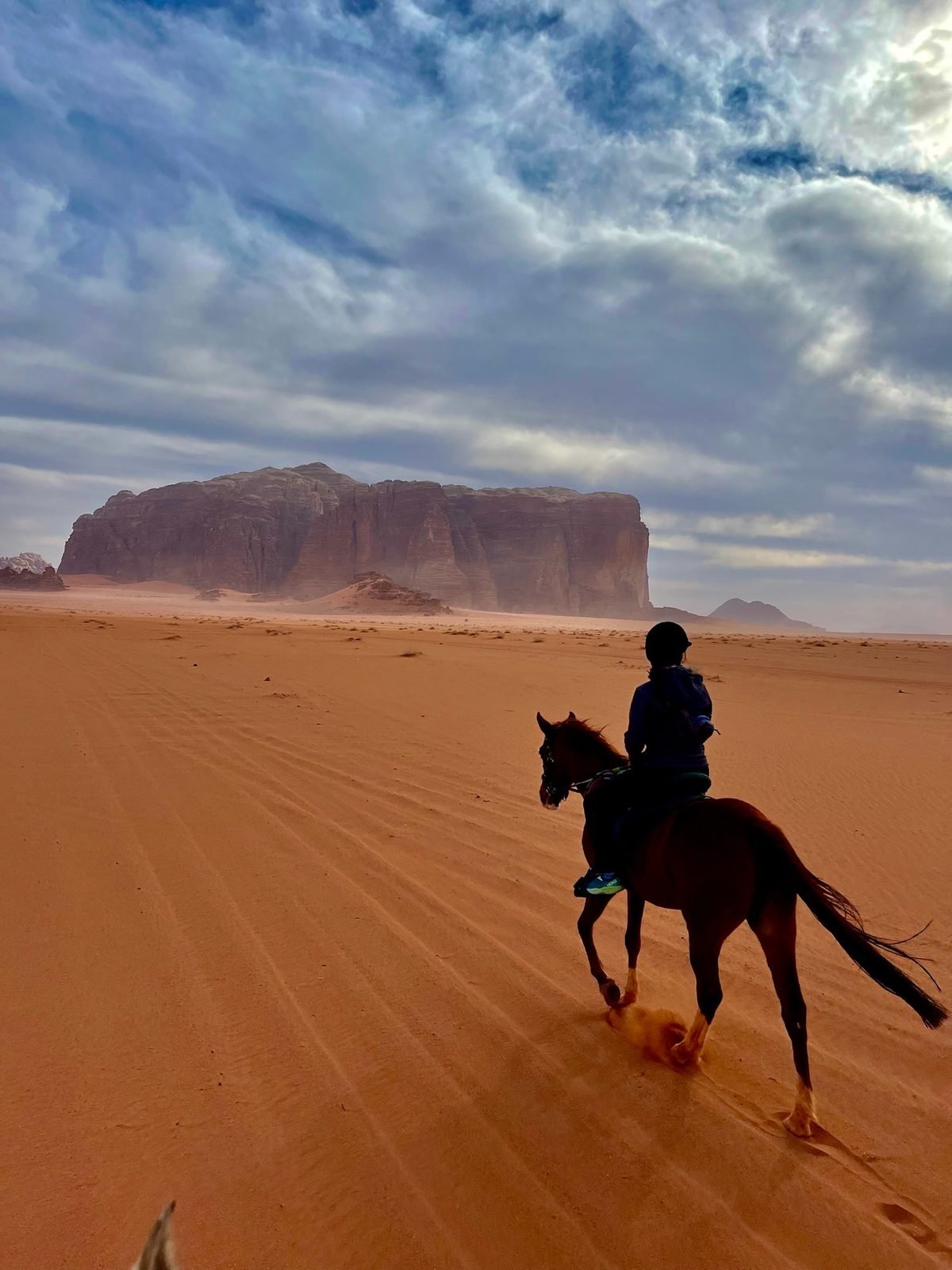 A cavallo nel Wadi Rum