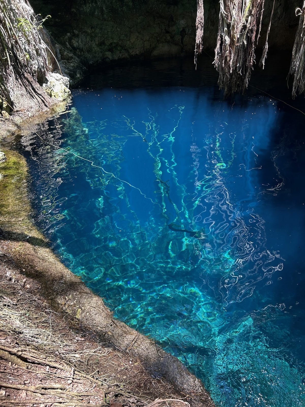 Il cenote Agua Azul