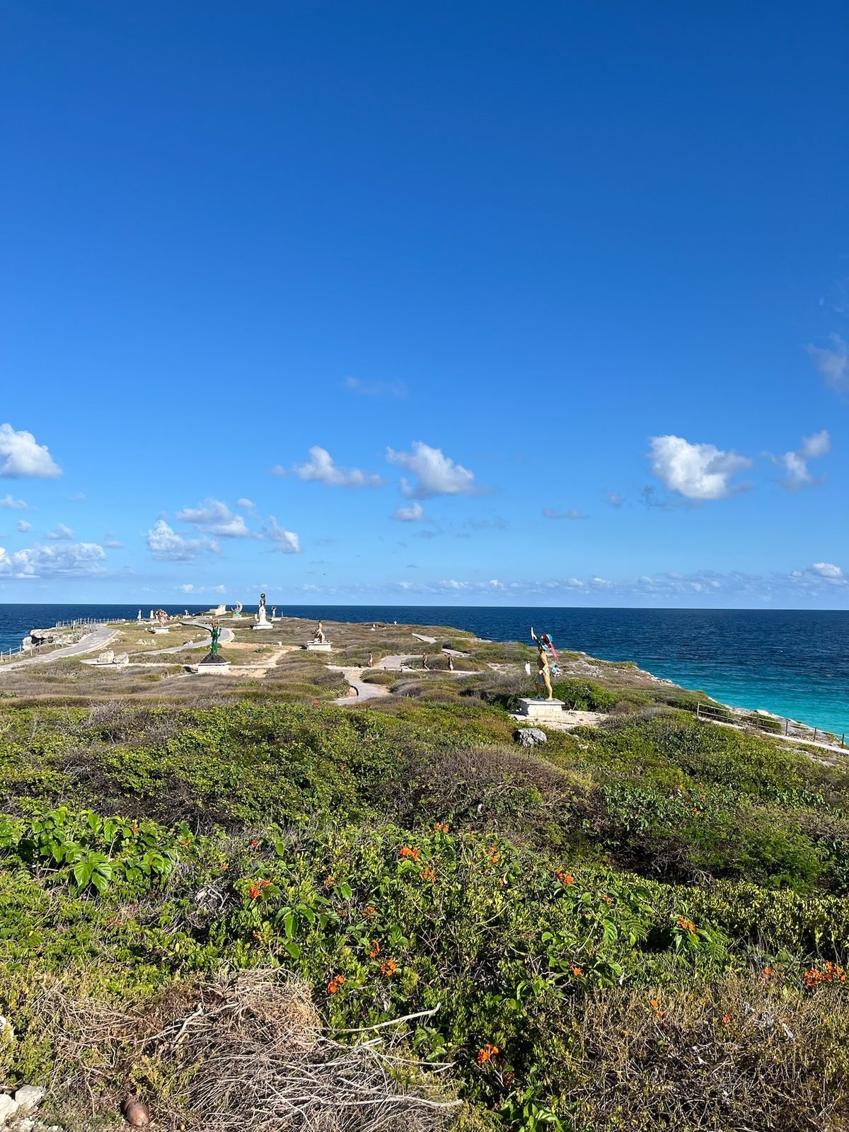 Punta Sur