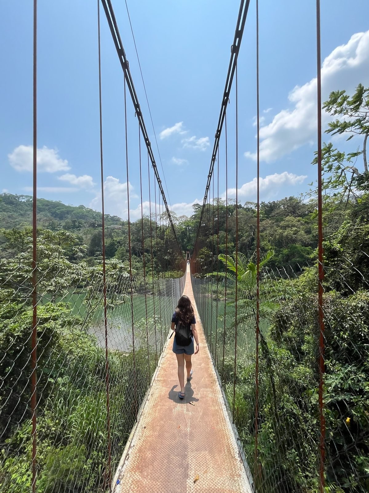 Il ponte tibetano nella giungla