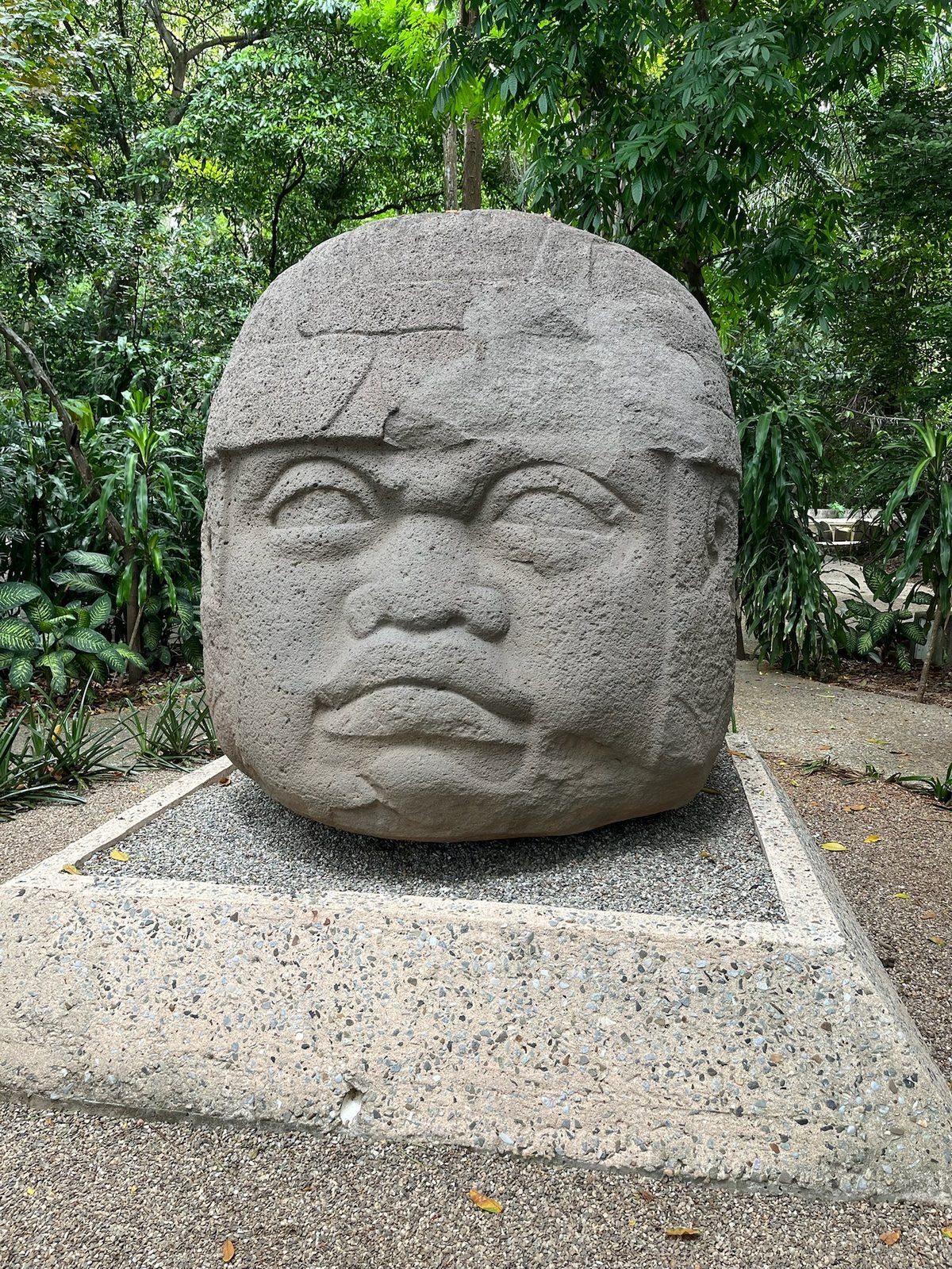 Le teste olmeche del Parque-Museo La Venta